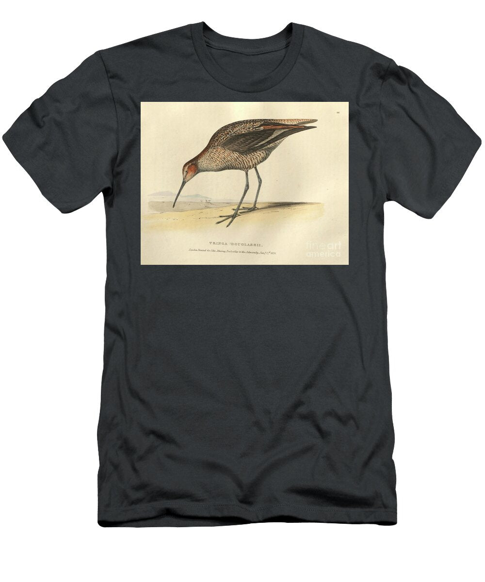 Long Legged Sandpiper O1 Historic Illustrations T-Shirt