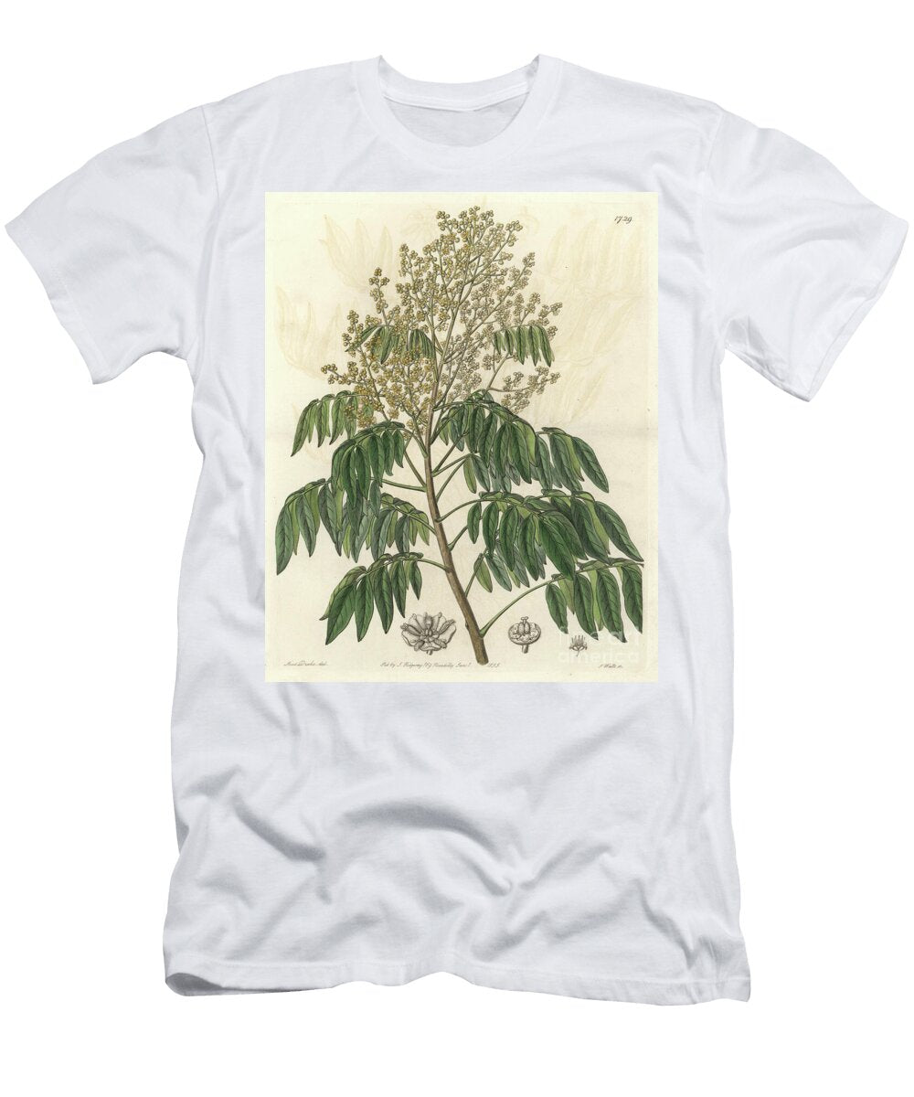 Longanier Originally From China S Sydenham Teast Edwards T-Shirt