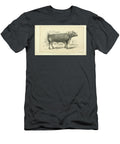Longhorn Bull Q1 Historic Illustrations T-Shirt