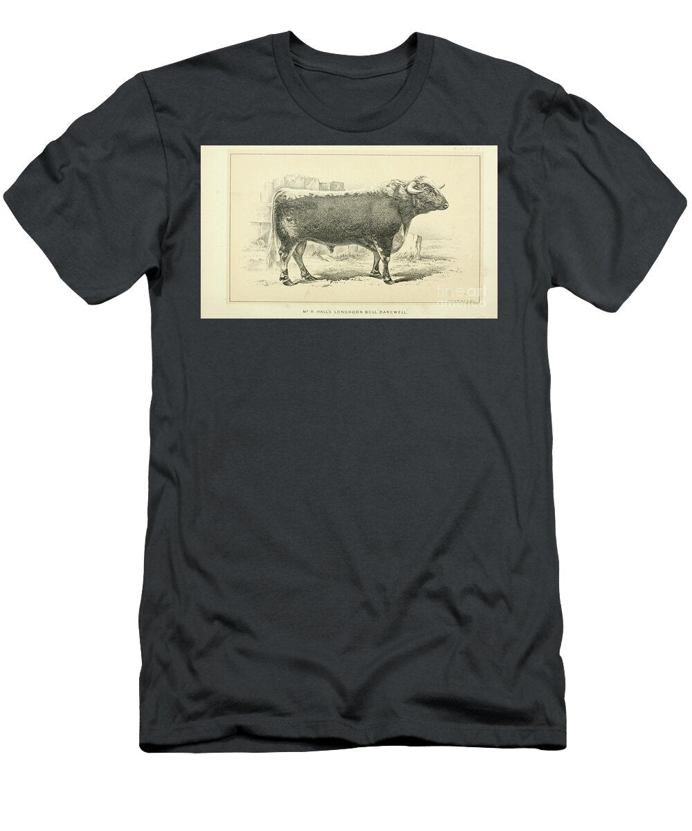 Longhorn Bull Q1 Historic Illustrations T-Shirt