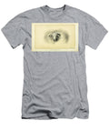 Longhorn Cow Q1 Historic Illustrations T-Shirt