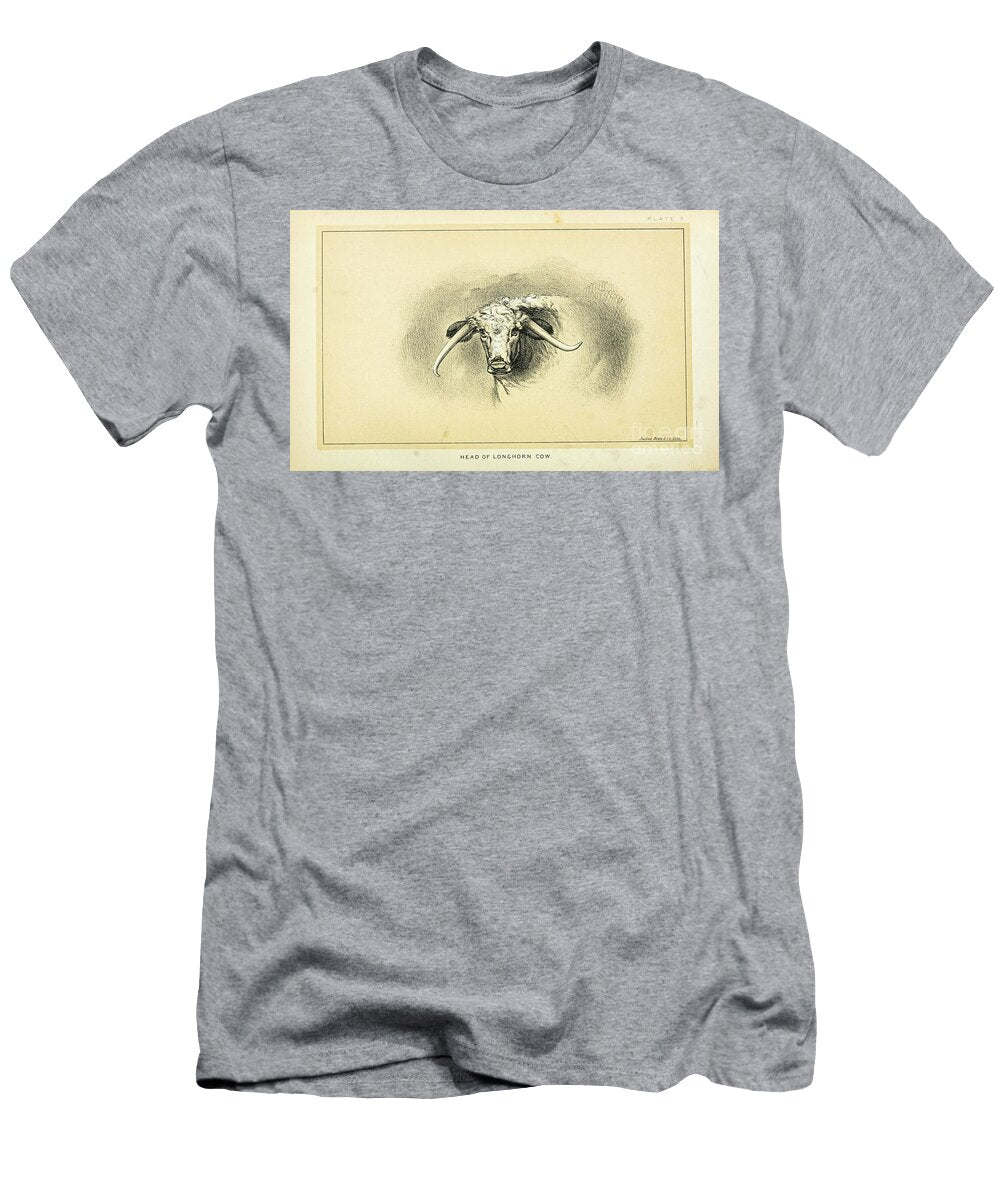 Longhorn Cow Q1 Historic Illustrations T-Shirt