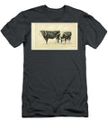 Longhorn Steers Q1 Historic Illustrations T-Shirt