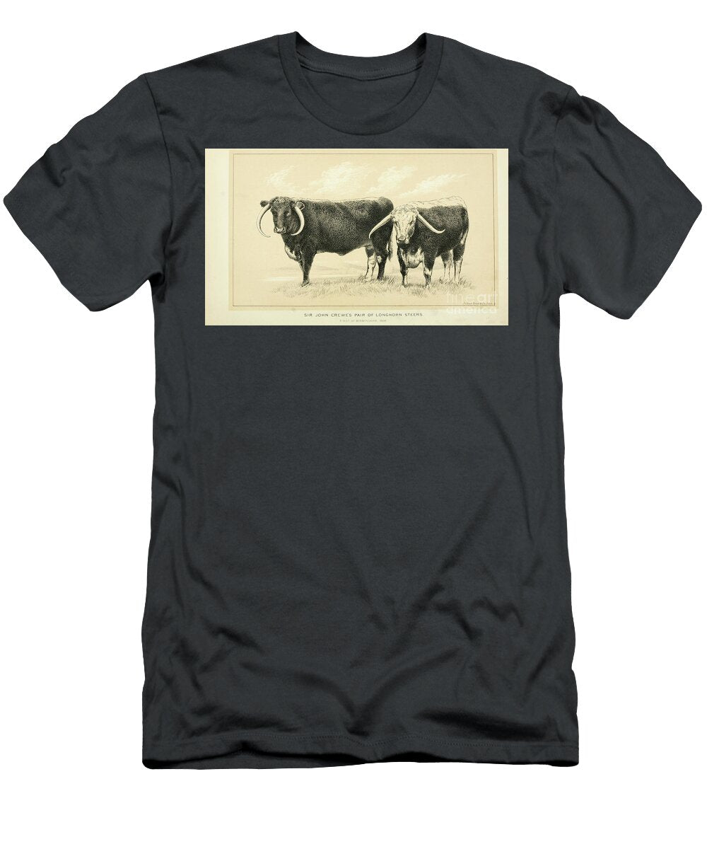 Longhorn Steers Q1 Historic Illustrations T-Shirt