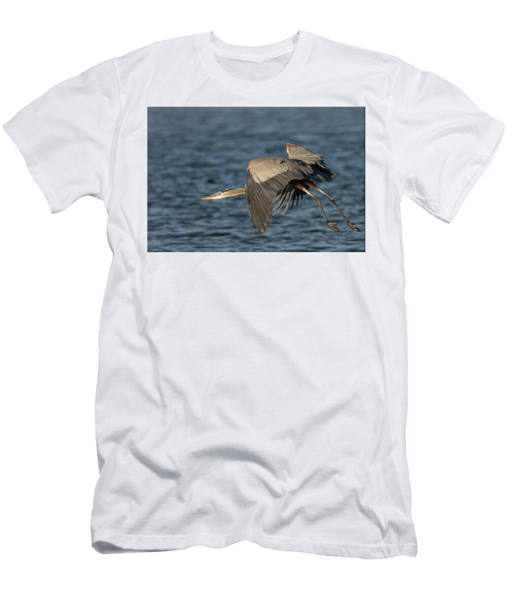 Looking to Gain Lift Rd Allen T-Shirt