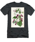 Lophospermum Atrosanguineum Sarah Anne Drake T-Shirt