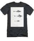 Loricaria Catfish B2 Historic Illustrations T-Shirt