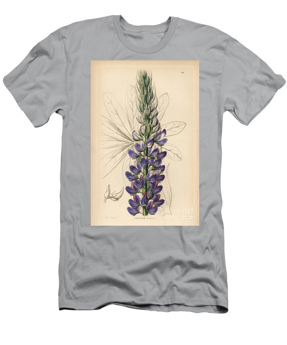 Lupin European School T-Shirt