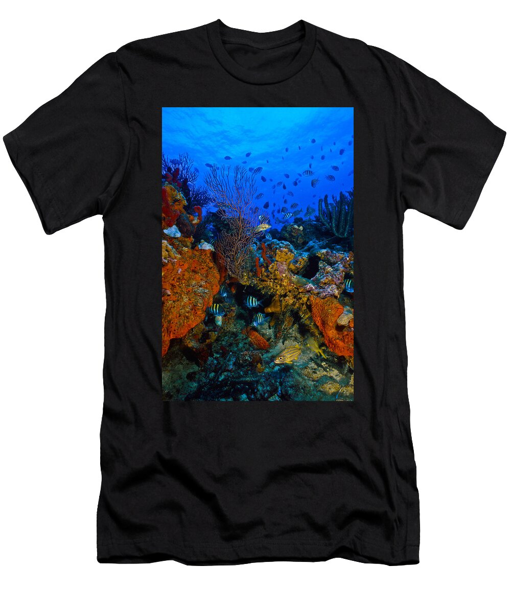 Lynns Reef Sandra Edwards T-Shirt