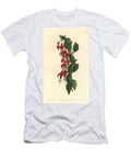 Magellan Fuchsia Hummingbird Fuchsia Fuchsia Magellanica Balloon Flowered Fuchsia Fuchsia Globosa Sydenham Teast Edwards T-Shirt