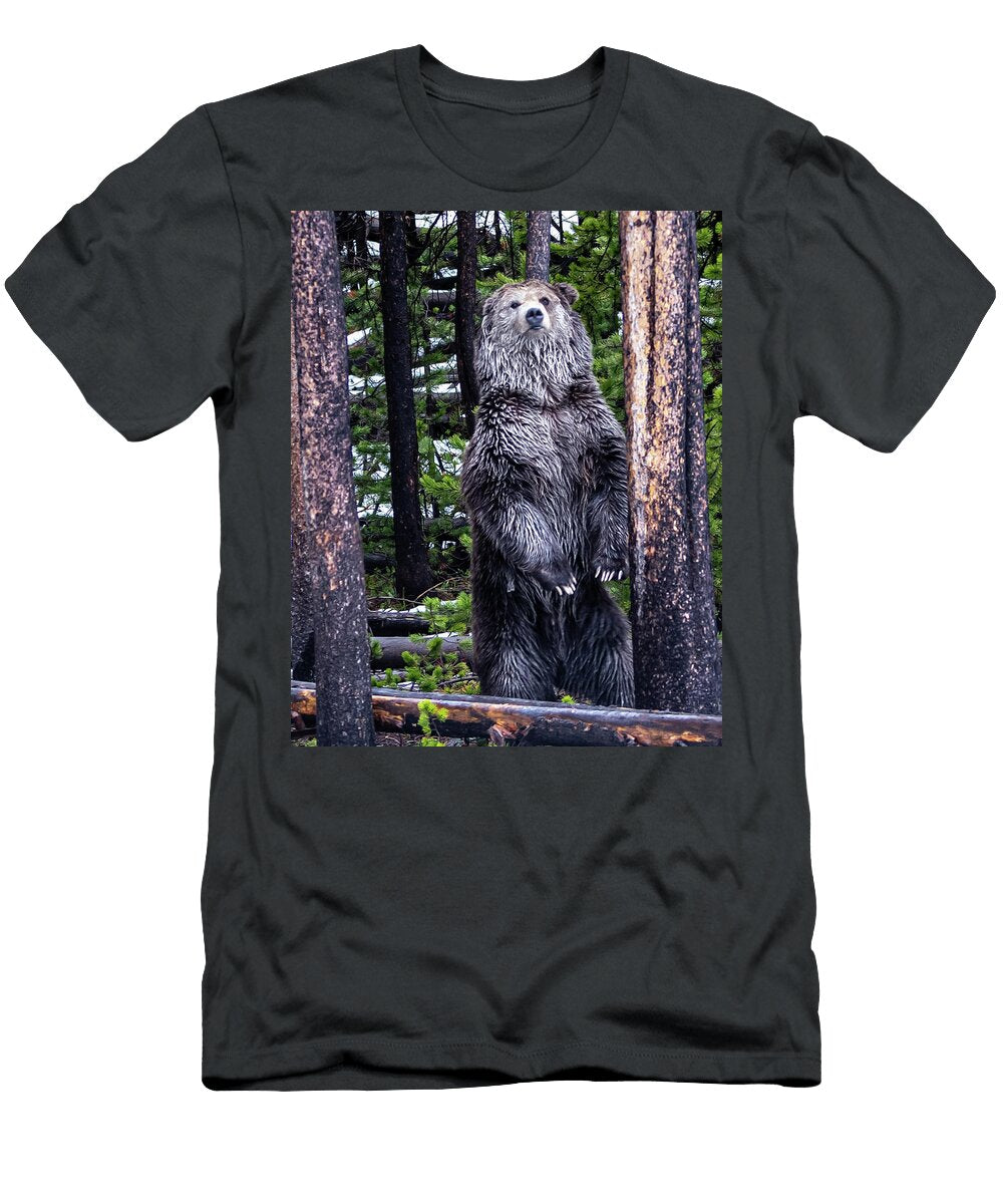 Majestic Silver Grizzly Connie Doherty T-Shirt