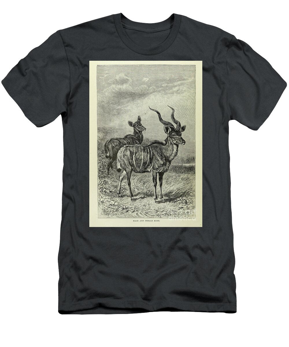 Male and Female Kudu M4 Historic Illustrations T-Shirt