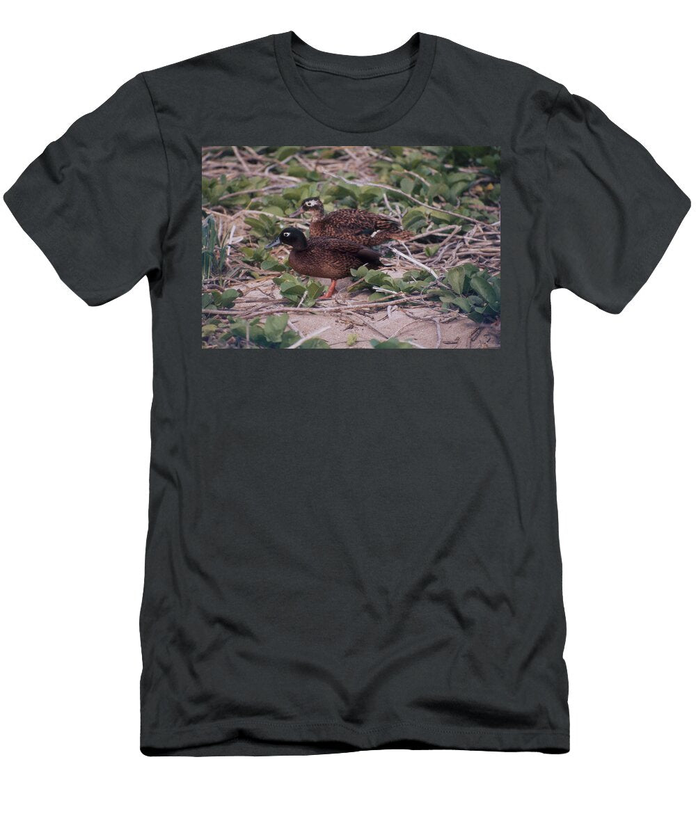 Male and Female Laysan Teal Ducks Karl W Kenyon T-Shirt