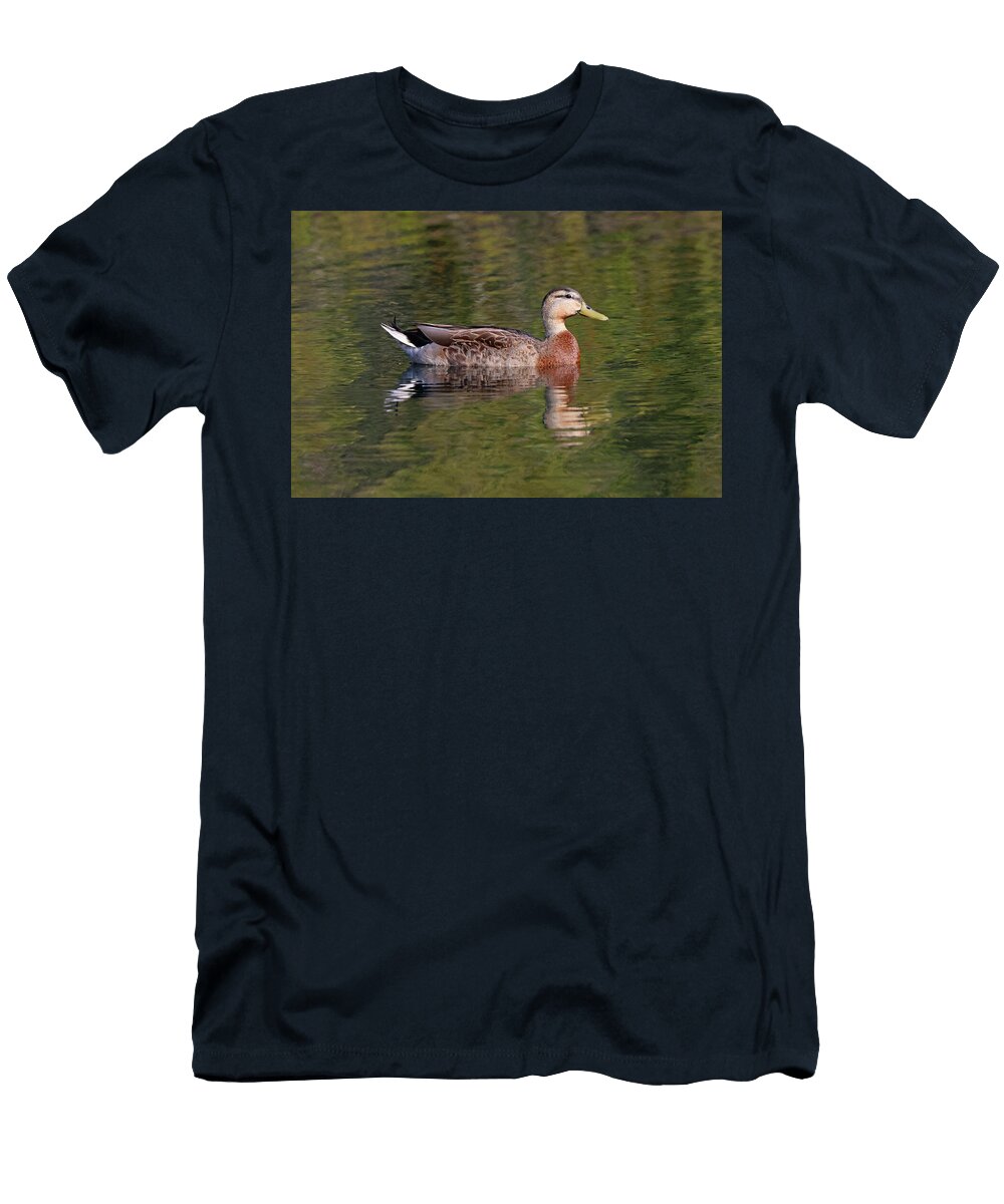 Male Non Breeding Mallard Duck Marlin and Laura Hum T-Shirt