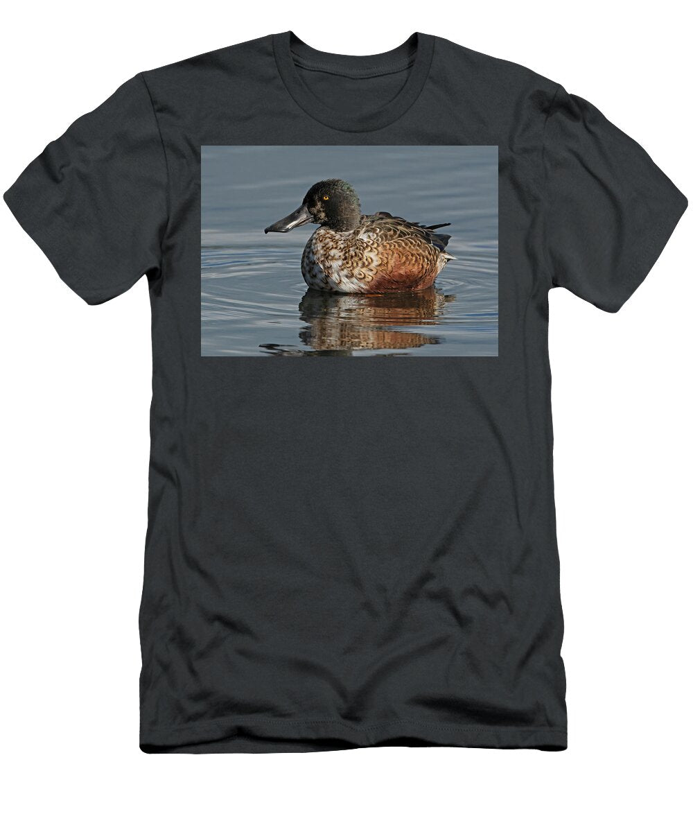 Male Northern Shoveler in Moult Resting on a Submerged Roger Powell Natureplcom T-Shirt