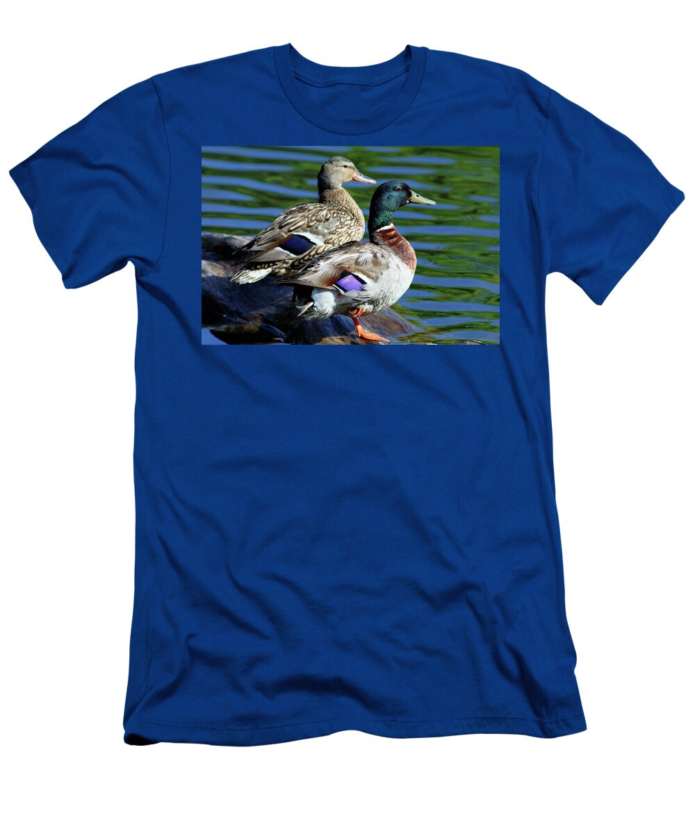 Mallard Couple Sitting on a Log Carol R Montoya T-Shirt