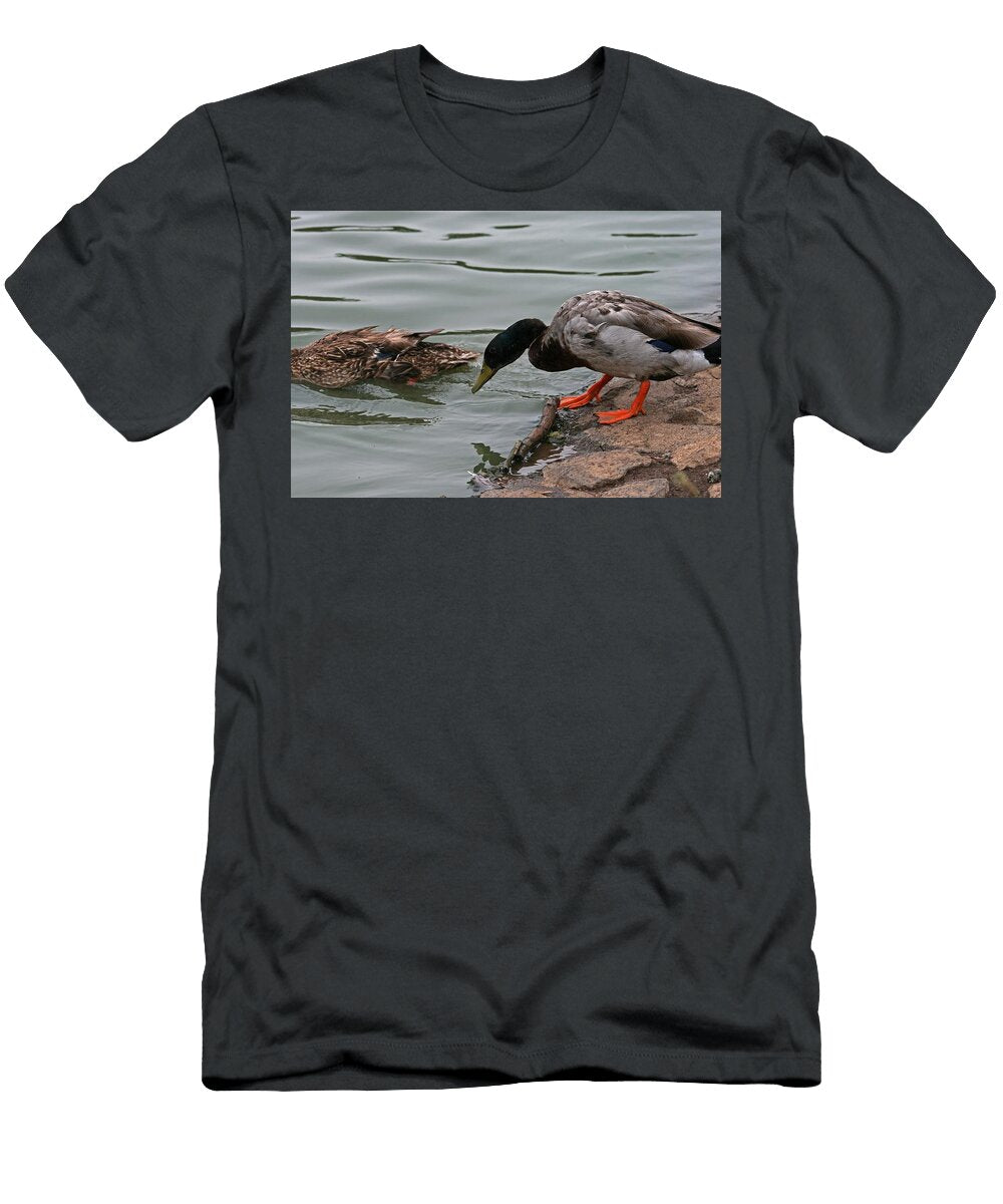 Mallard Drake Entering the Water Les Classics T-Shirt