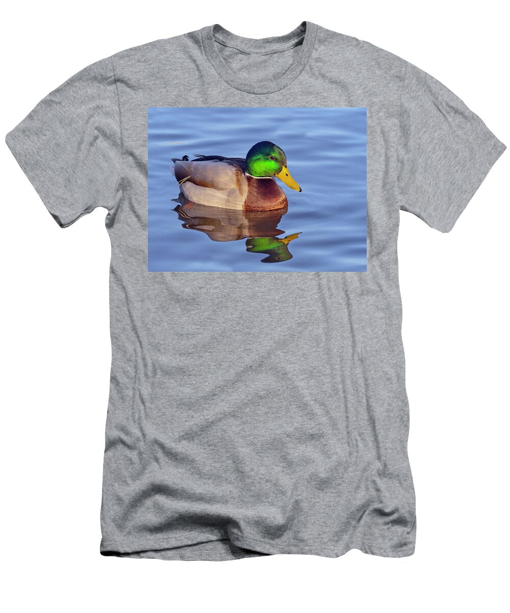 Mallard Drake in Winter Norfolk England UK Ernie Janes Natureplcom T-Shirt