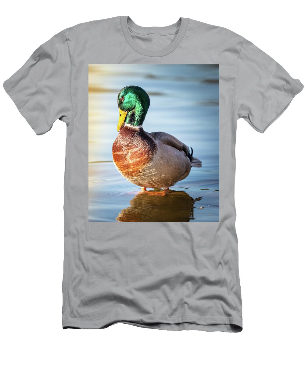 Mallard Drake Pruning Jordan Hill T-Shirt