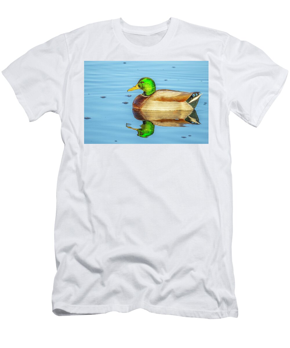 Mallard Duck on Tranquil Water James Brey T-Shirt