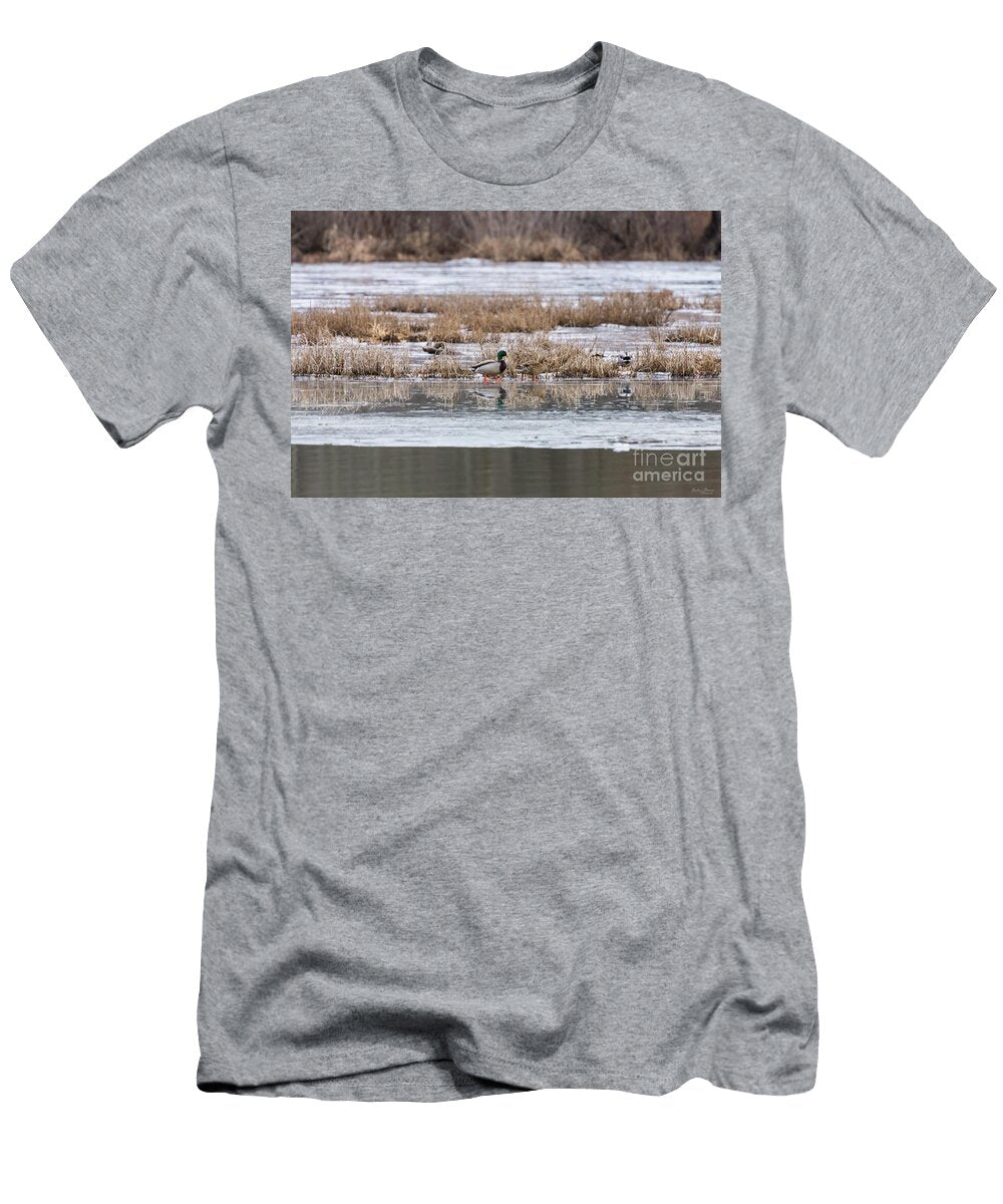 Mallard Frozen Walk Jennifer White T-Shirt