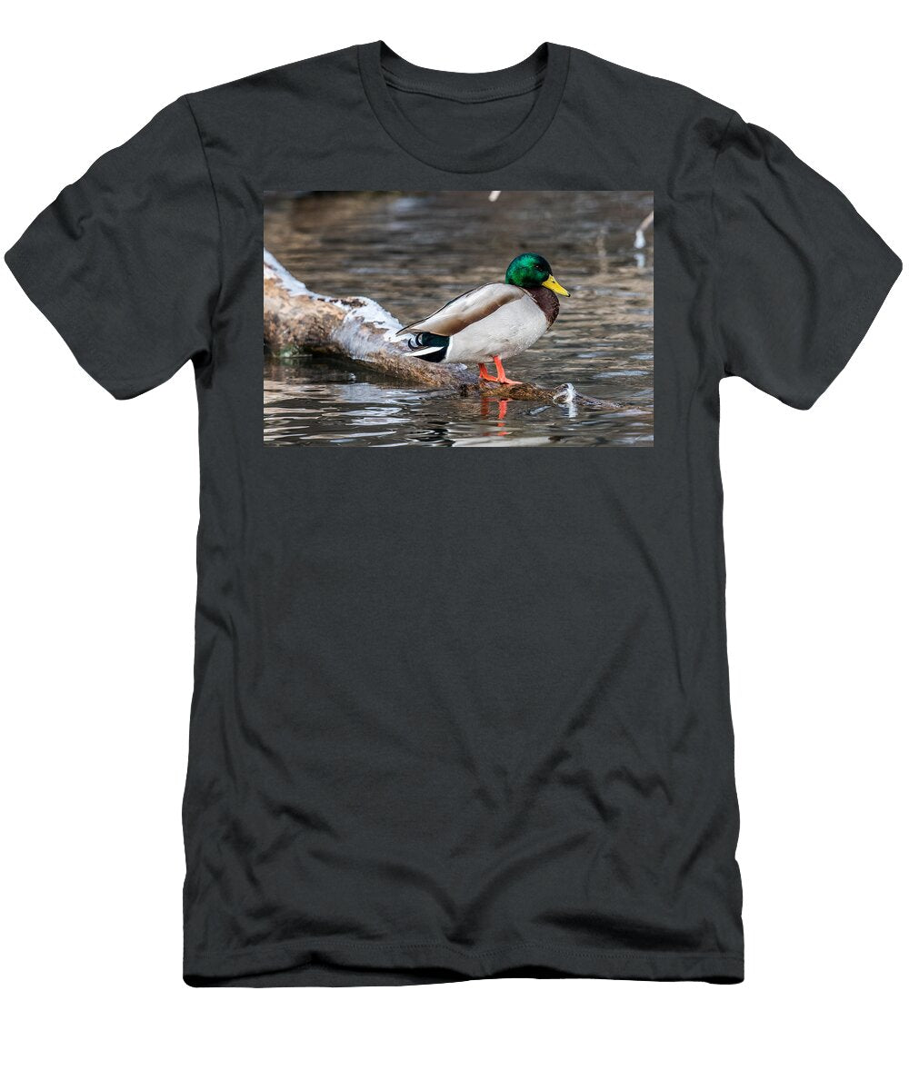 Mallard on a Log Paul Freidlund T-Shirt