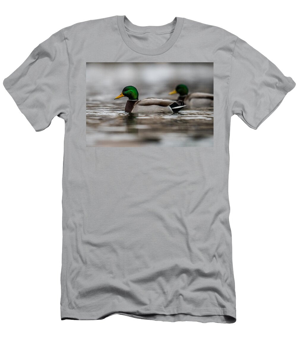 Mallard Paul Freidlund T-Shirt