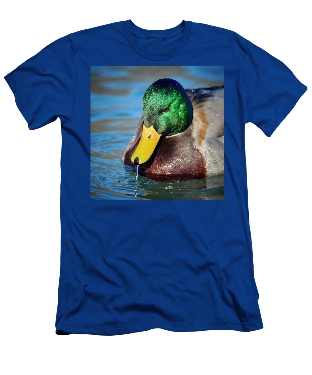 Mallard Portrait Paul Freidlund T-Shirt