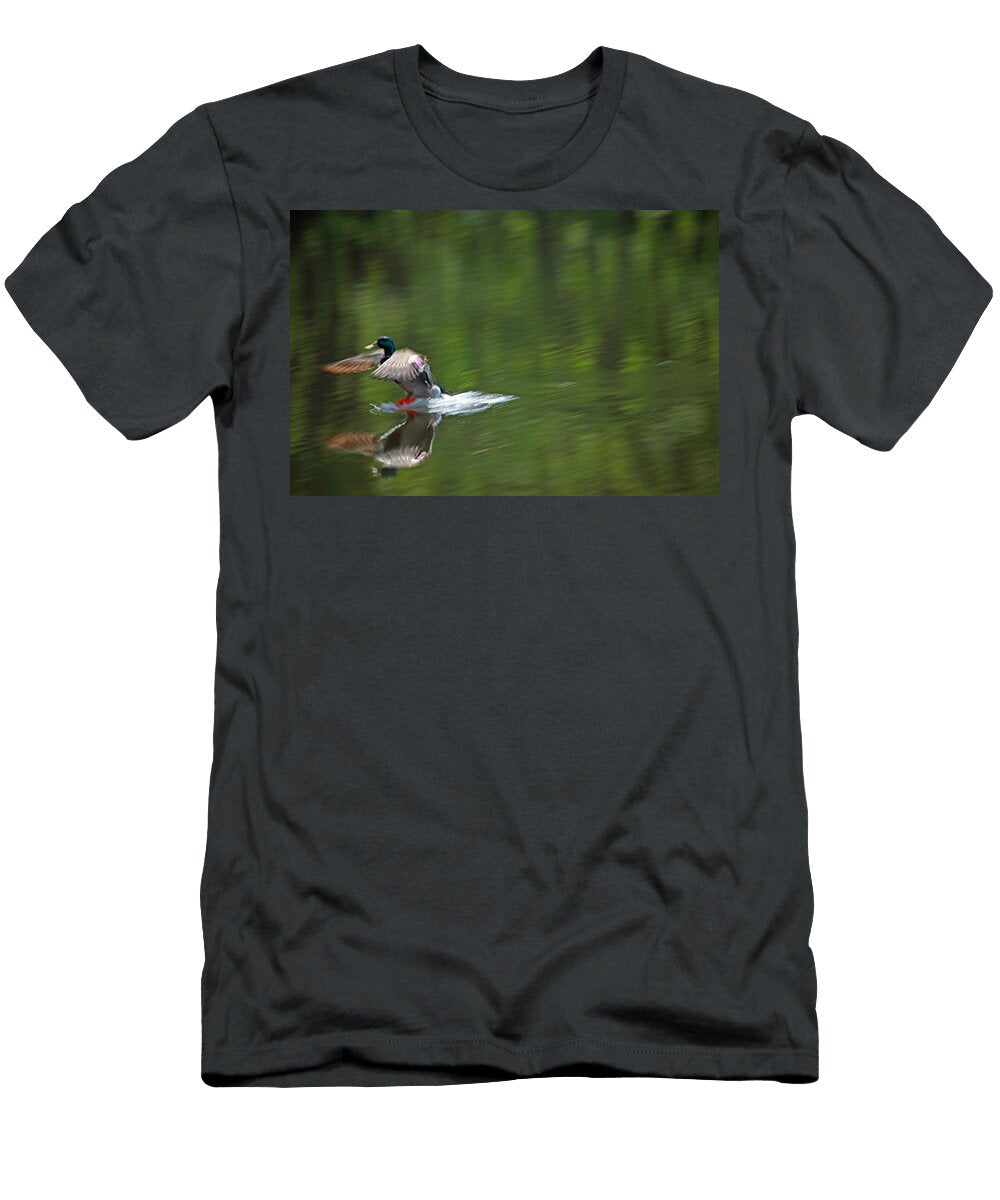 Mallard Splash Down Karol Livote T-Shirt