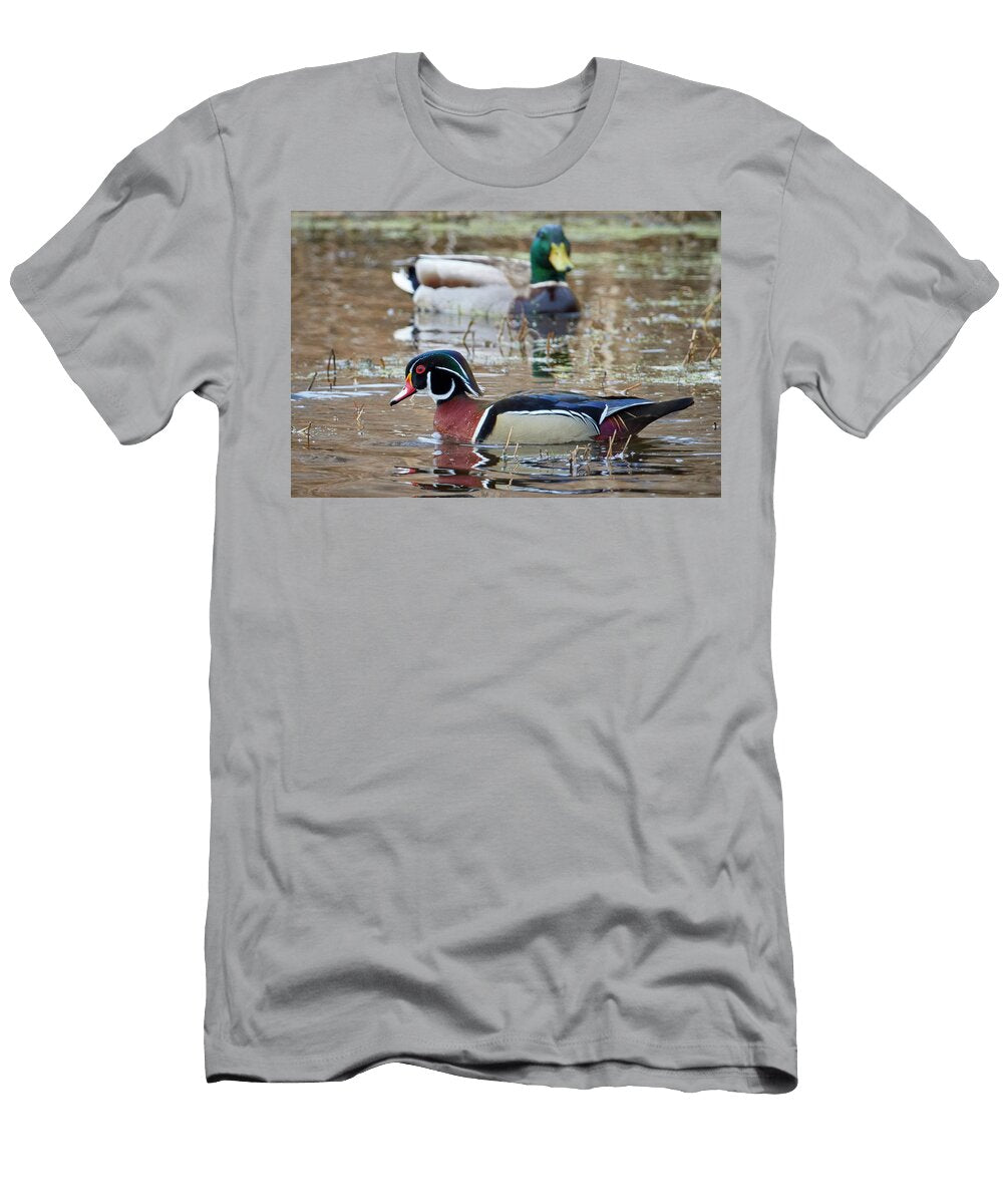 Mallard Watching Wood Duck Paul Freidlund T-Shirt