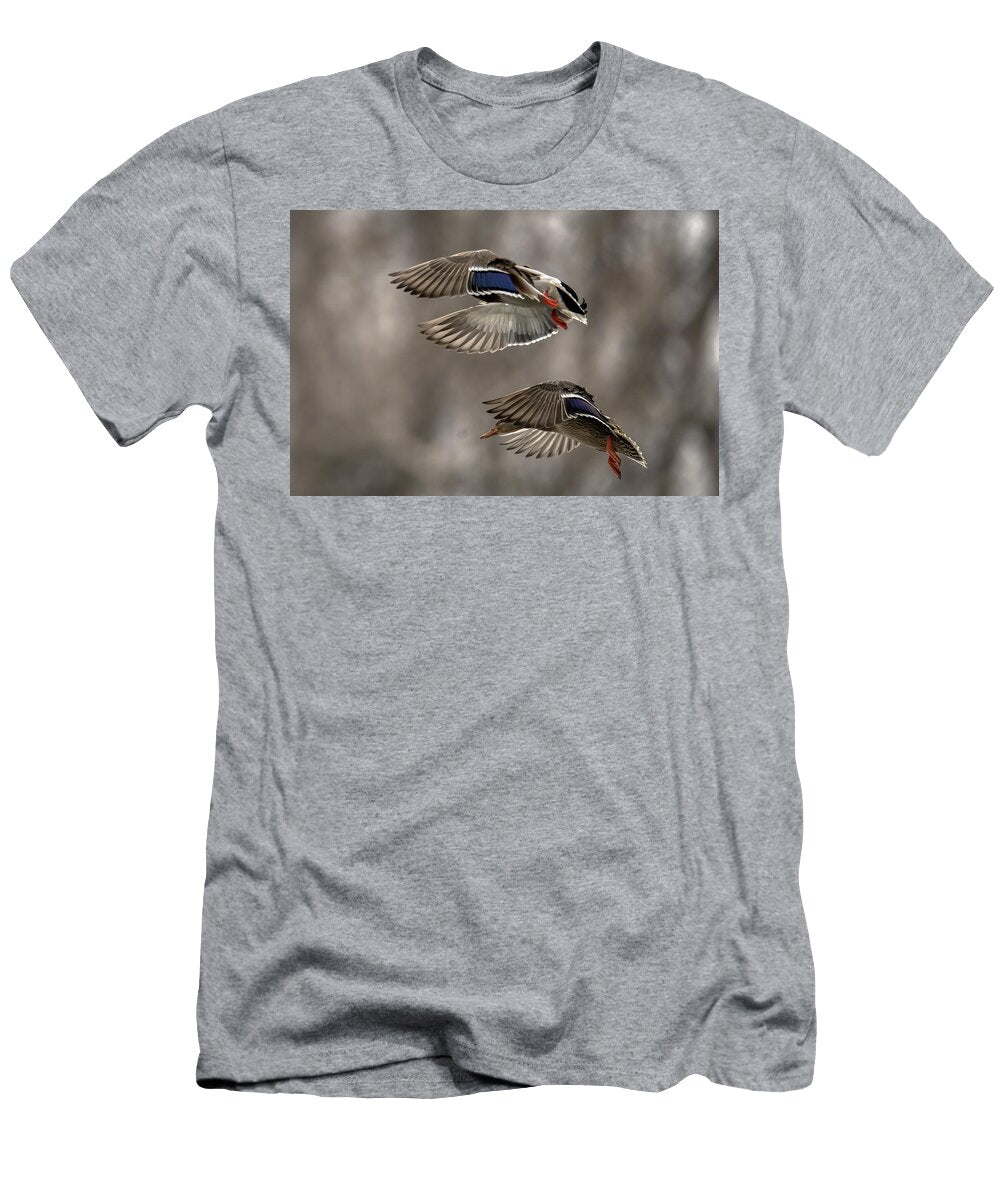 Mallards Showing Off Wings Paul Freidlund T-Shirt