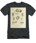 Mammal Skulls From South America U1 Historic Illustrations T-Shirt