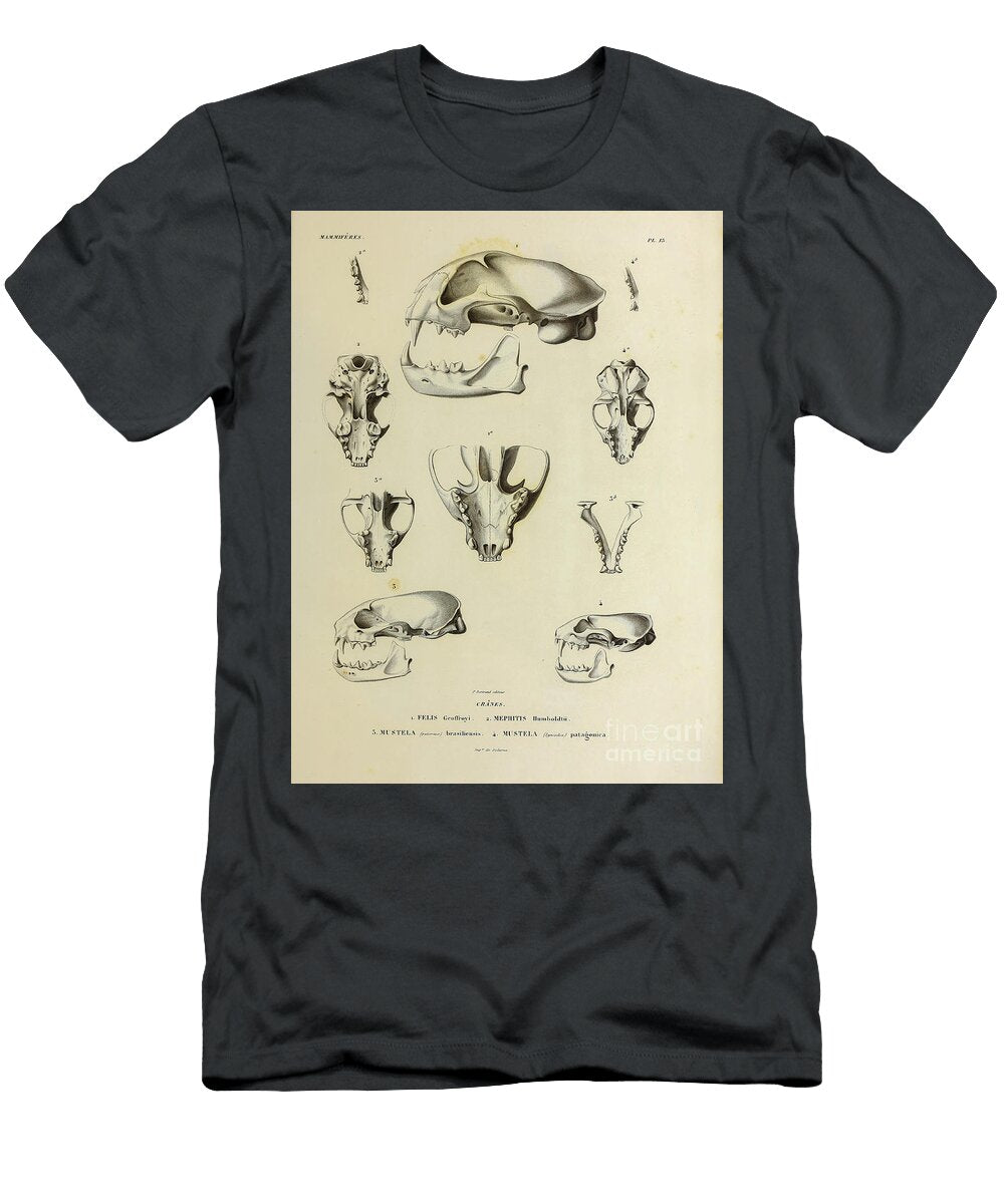 Mammal Skulls From South America U1 Historic Illustrations T-Shirt