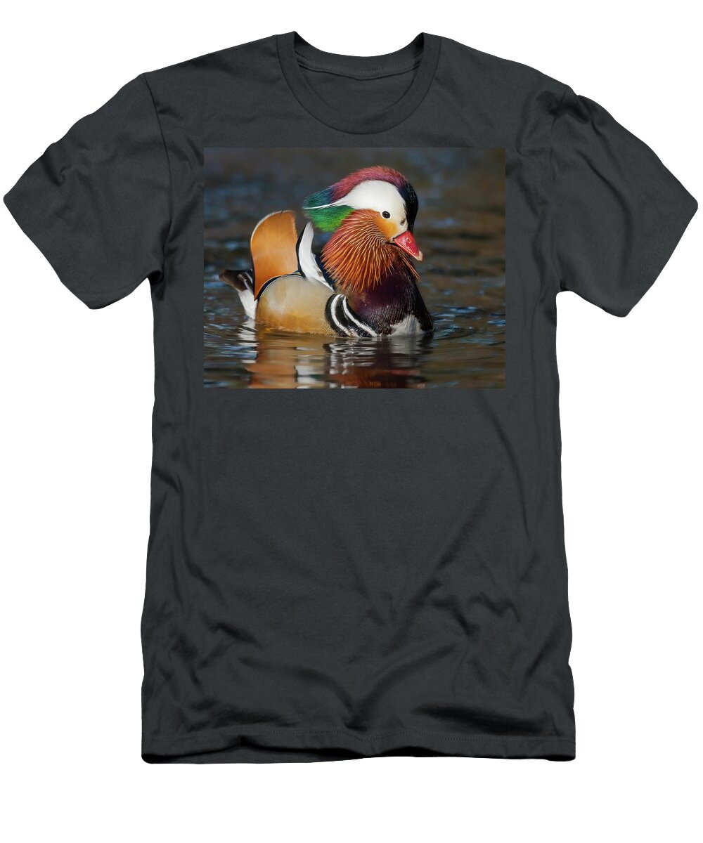 Mandarin Display Jerry Fornarotto T-Shirt