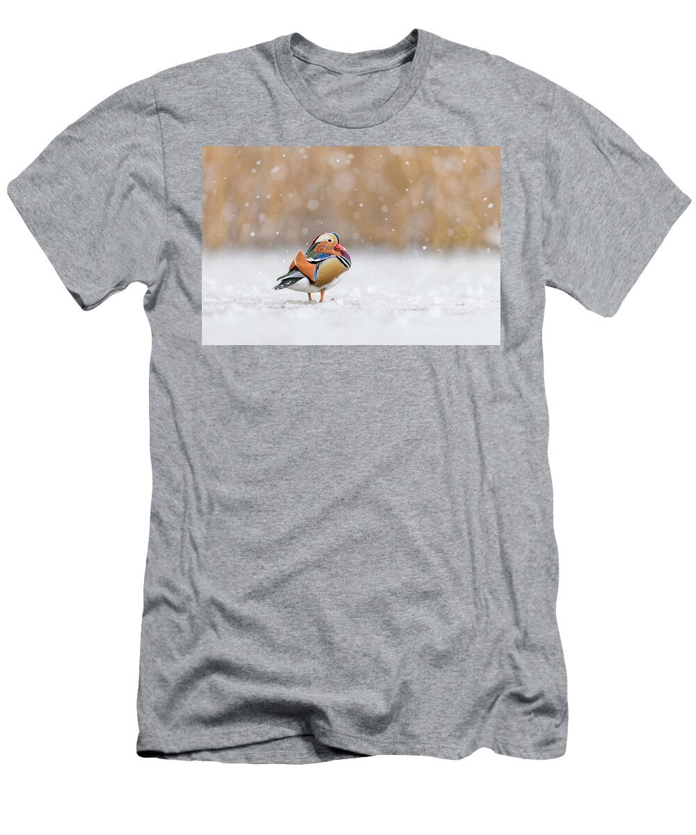 Mandarin Duck Drake Standing on Frozen Pond During Oscar Dewhurst Natureplcom T-Shirt