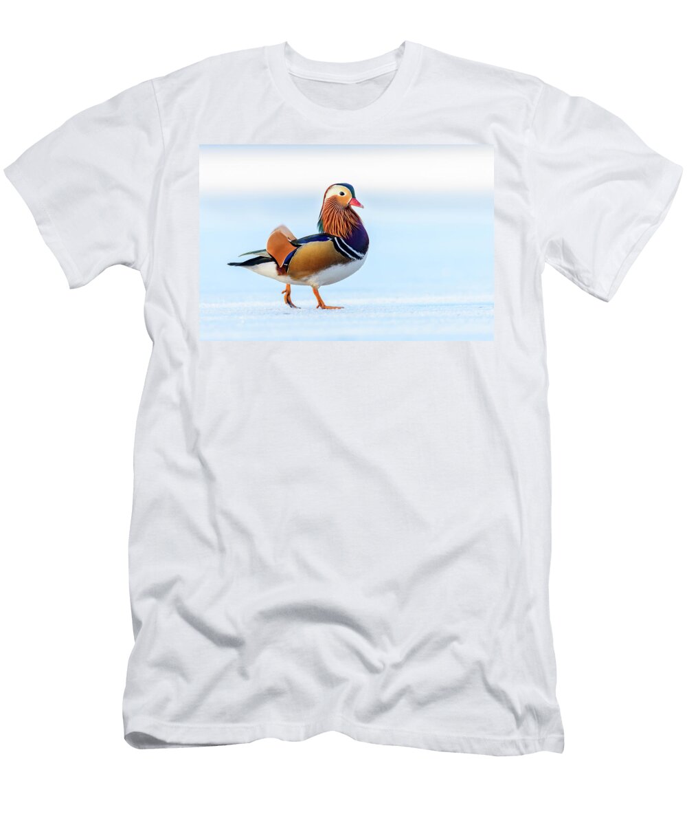 Mandarin Duck Drake Walking on Snow Covered Frozen Lake Oscar Dewhurst Natureplcom T-Shirt