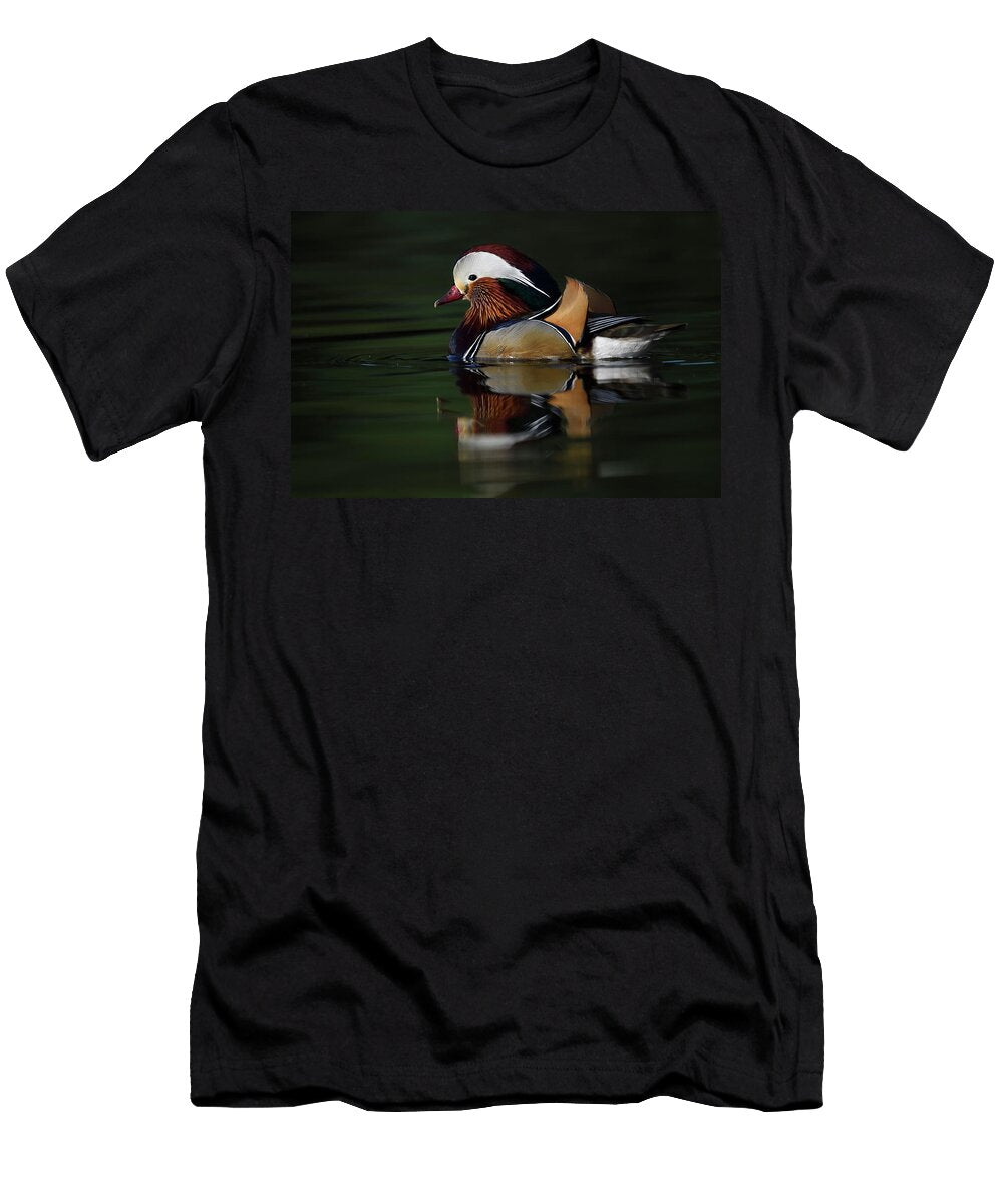Mandarin Duck Male Swimming on Water in the Beijing Area Staffan Widstrand Wild Wonders of China Natureplcom T-Shirt