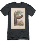 Manis Multiscutata Q1 Historic Illustrations T-Shirt