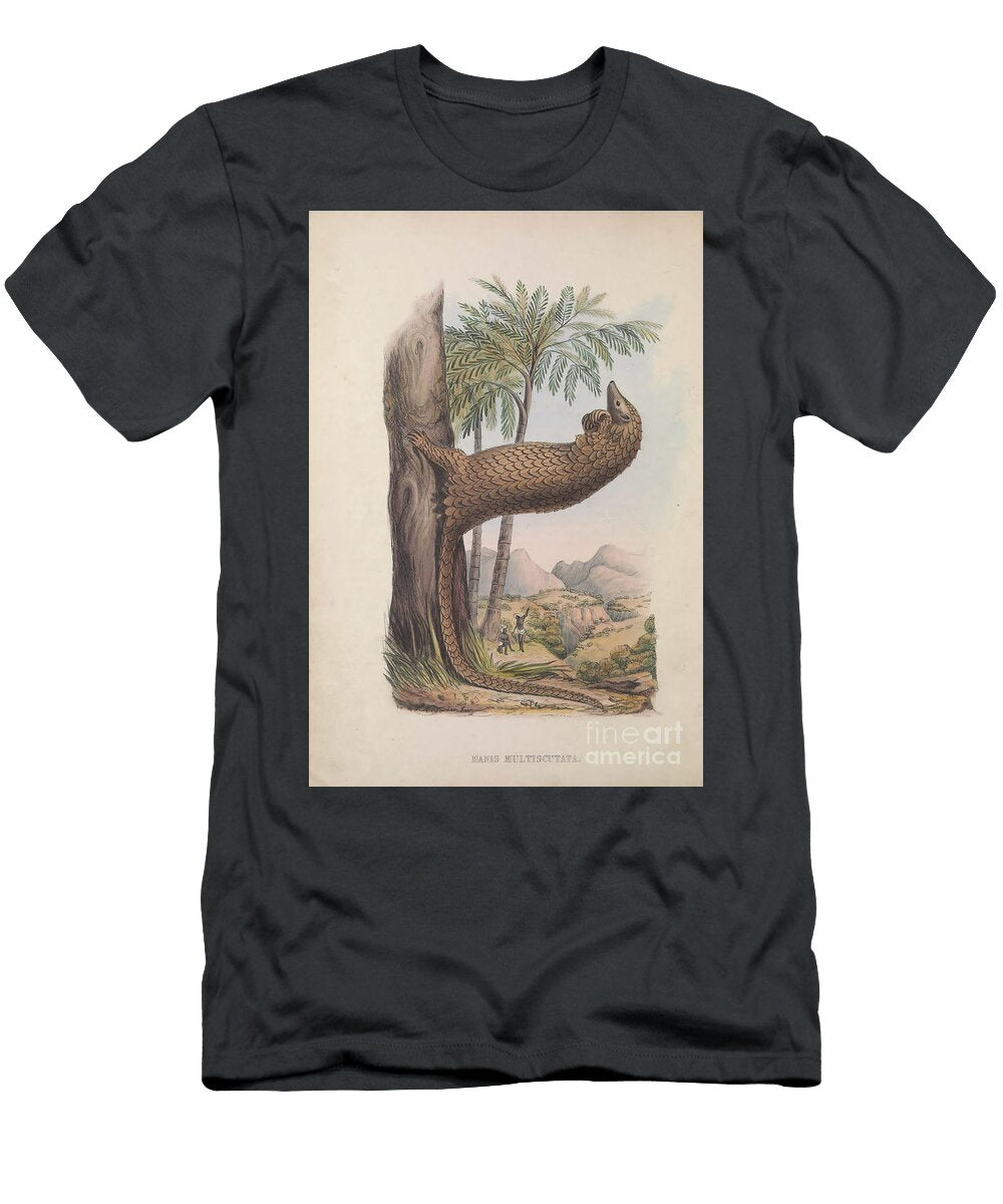 Manis Multiscutata Q1 Historic Illustrations T-Shirt