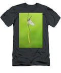 Mayfly Male River Usk Monmouthshire Wales UK Phil Savoie Natureplcom T-Shirt