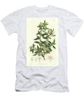 Maytenus Boaria Maiten Endemic to Central and South America Sydenham Teast Edwards T-Shirt