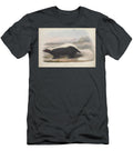 Mephitis Nasuta Zoologia Typica Q1 Historic Illustrations T-Shirt