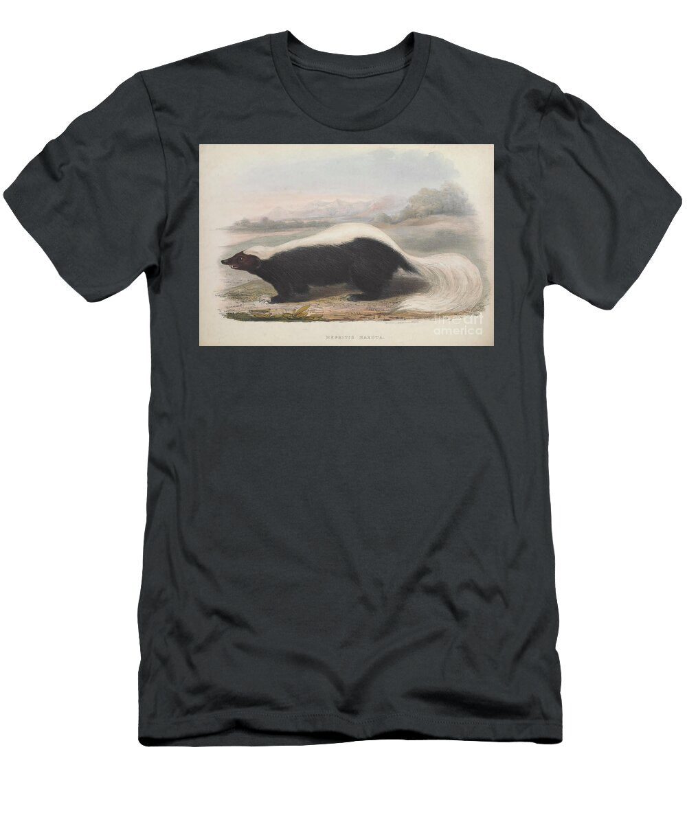 Mephitis Nasuta Zoologia Typica Q1 Historic Illustrations T-Shirt