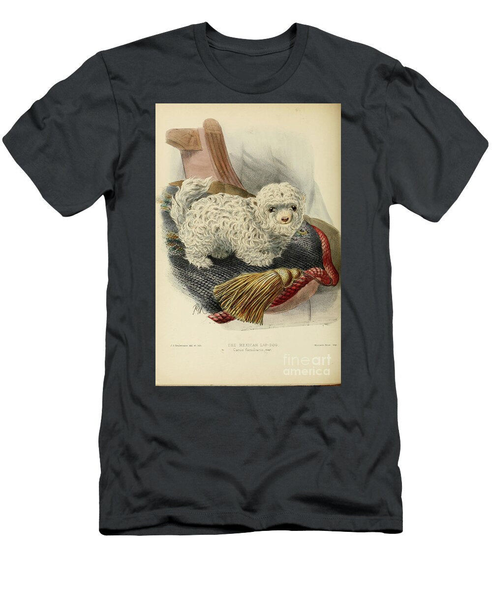 Mexican Lap Dog C1 Historic Illustrations T-Shirt