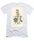 Mexican Lupin Mexican Lupin Lupinus Mexicanus Ehrenbergs Lupin Lupinus Ehrenbergii European School T-Shirt