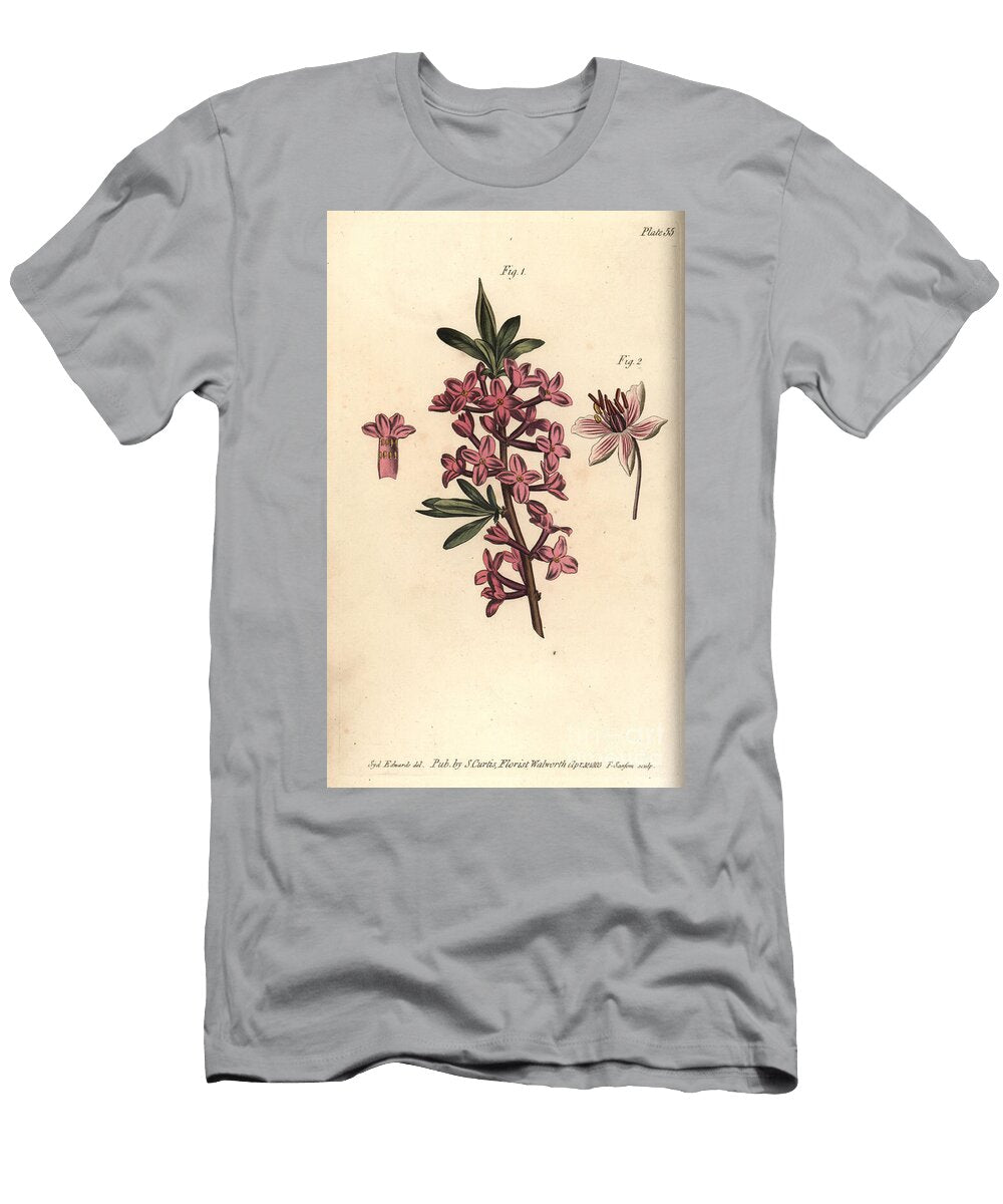 Mezereon Daphne Mezereum Octandria 1 and Flowering Rush Butomus Umbellatus Enneandria 2 Sydenham Teast Edwards T-Shirt