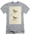 Miner Birds of South America 1835 U1 Historic Illustrations T-Shirt