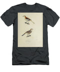 Mockingbirds of South America 1835 U1 Historic Illustrations T-Shirt