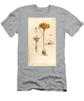 Monandria 12 Cloth of Gold Crocus Angustifolius Triandria 3 and Enchanters Nightshade Circaea Alpina Diandria 45 Sydenham Teast Edwards T-Shirt