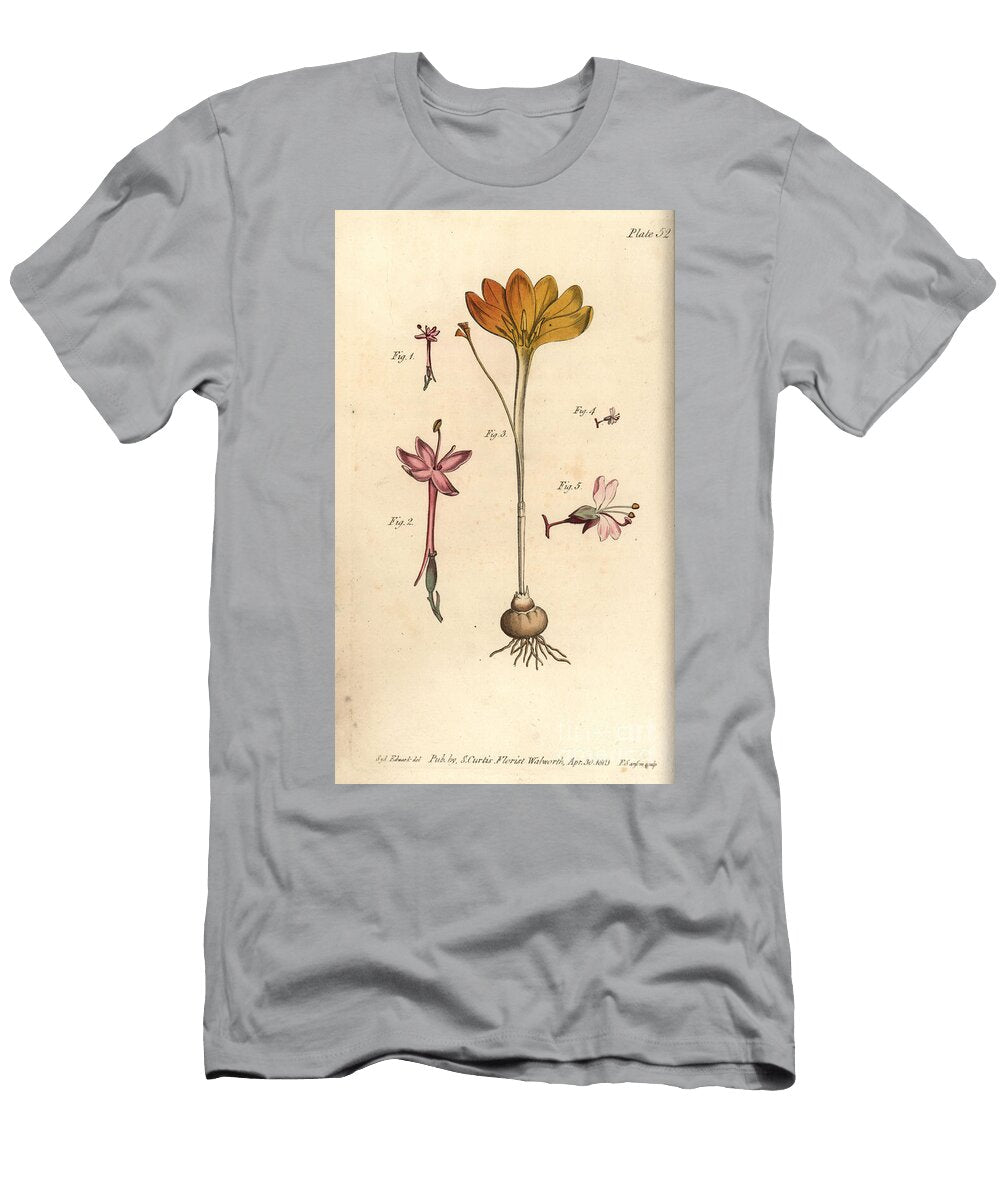 Monandria 12 Cloth of Gold Crocus Angustifolius Triandria 3 and Enchanters Nightshade Circaea Alpina Diandria 45 Sydenham Teast Edwards T-Shirt